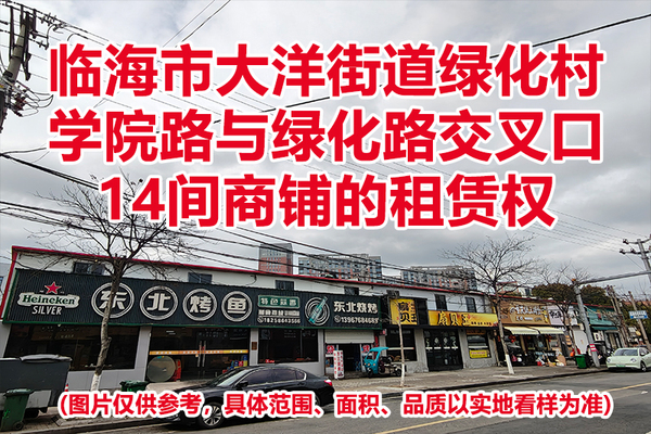 临海市大洋街道绿化村学院路与绿化路交叉口14间商铺的租赁权